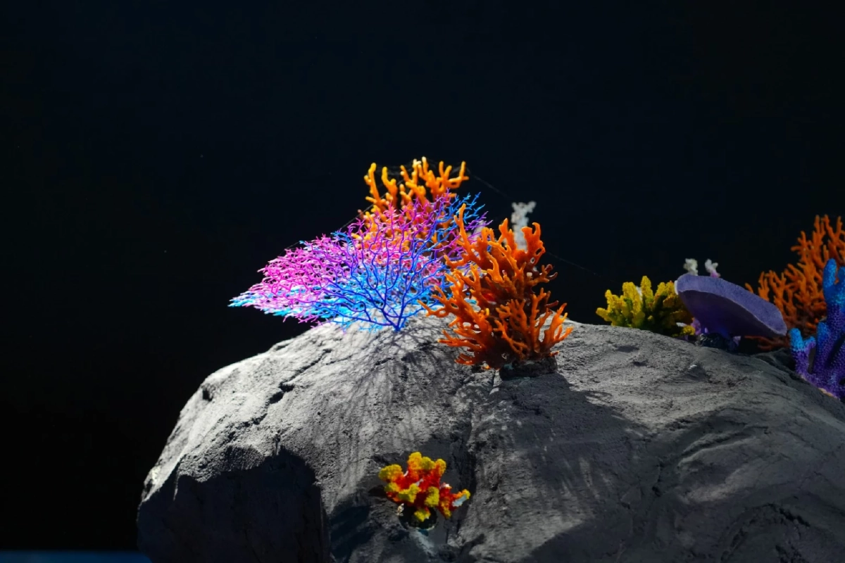 เปิดตัว SIRIN MUSEUM "พิพิธภัณฑ์ธรรมชาติวิทยาเทพรัตนราชสุดาฯ ม.วลัยลักษณ์"