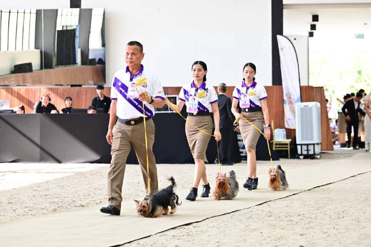 มัดรวมไฮไลท์ "Princess’s Cup Thailand 2025" การแข่งขันขี่ม้าระดับนานาชาติ