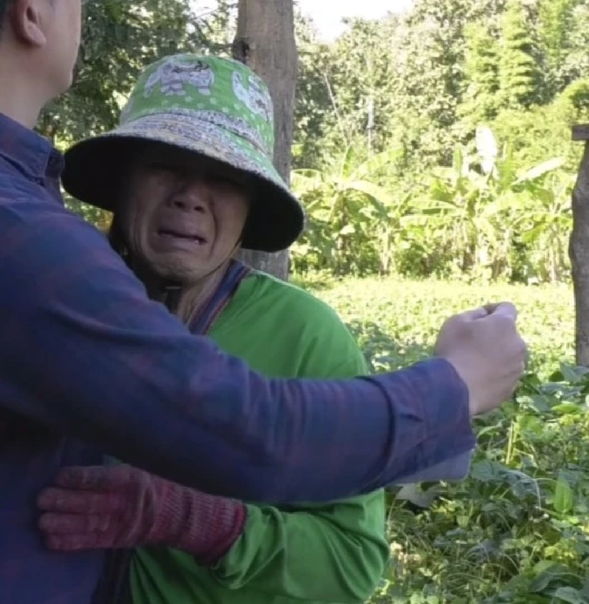 ไม่จบ!  ตา-ยาย ตัดไม้ต้นเดียวถูกปรับแสน ลามโดนแจ้งจับบุกรุกแผ้วทางป่าสงวน