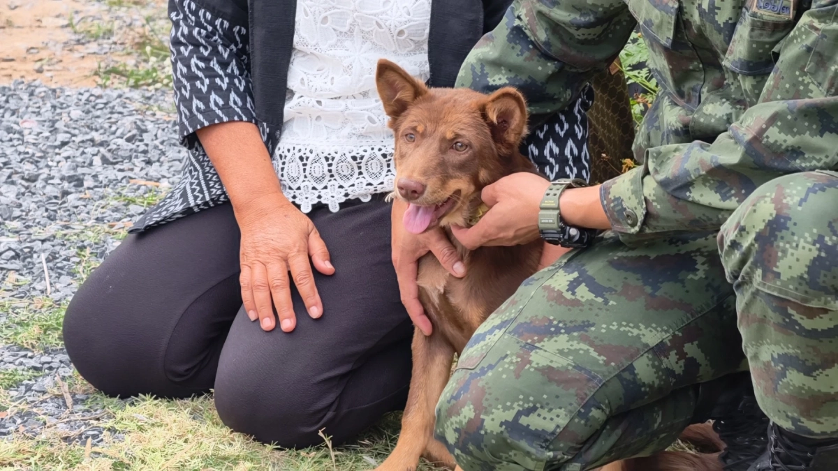 ร่าง "จ่ามิน" กลับถึงบ้านเกิด "เจ้ามะลิ" สุนัขคู่ใจ ร่วมส่งครั้งสุดท้าย