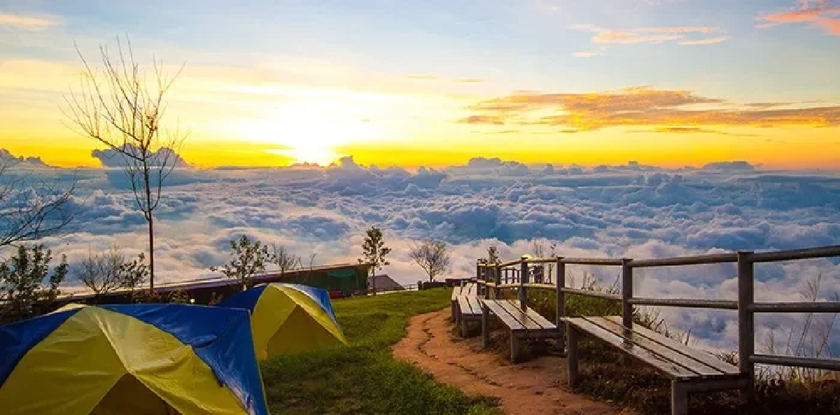 แจกพิกัด 10 จังหวัดเที่ยวปีใหม่ 2569 ที่สายคอนเทนต์ห้ามพลาด!