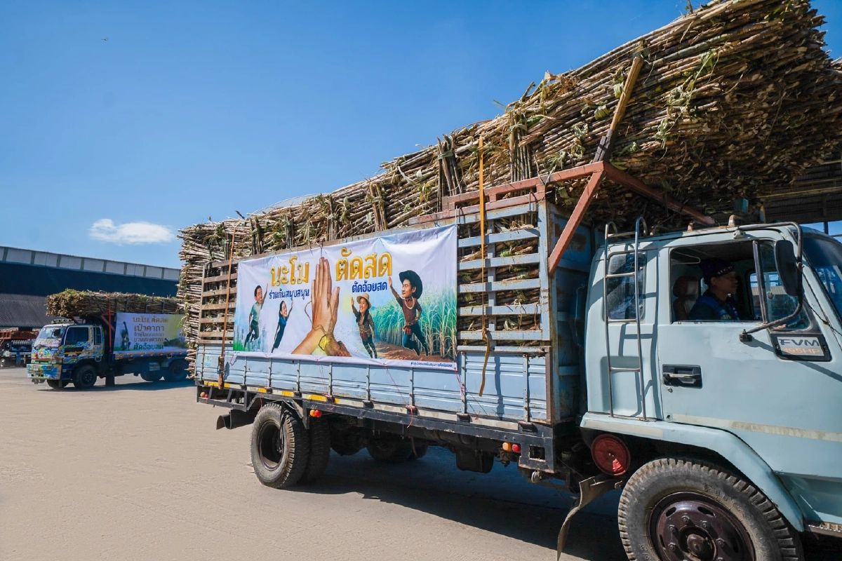 นะโมตัดสด