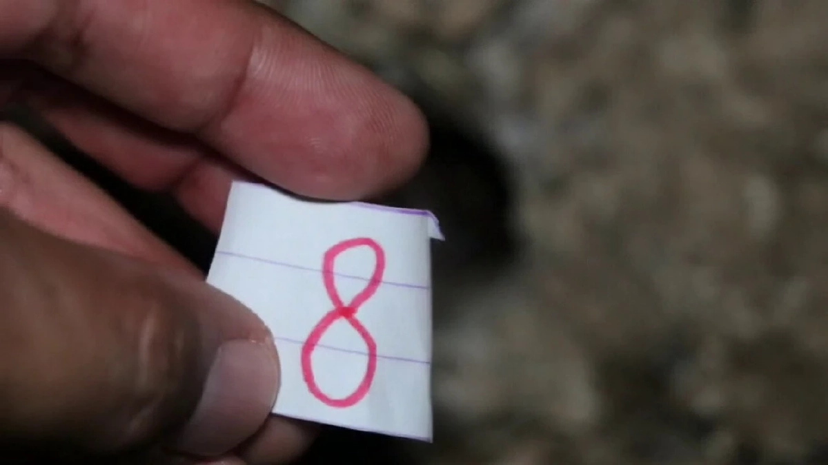 เลขเด็ด ส่องเลข "พญาบึ้ง" ตามความเชื่อ วัดโบสถ์ราษฎรศรัทธา เลข 3 ตัว จดด่วน!