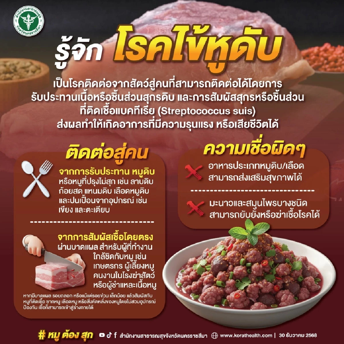 "หูดับ" คร่า 13 ชีวิต! โคราชสถิติพุ่งอันดับ 1 ประเทศ 'ใช้ตะเกียบคีบหมูดิบ' ในวงหมูกระทะ
