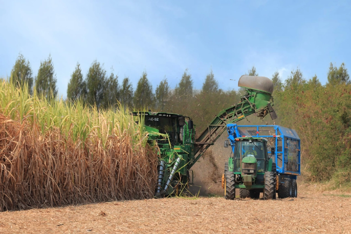 นะโมตัดสด