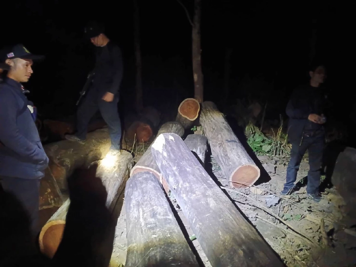 เจ้าหน้าที่บุกยึด "ไม้ประดู่" โดนลักลอบตัด มอดไม้แสบรู้มุมหนีทิ้งสมบัติชาติไว้ดูต่างหน้า