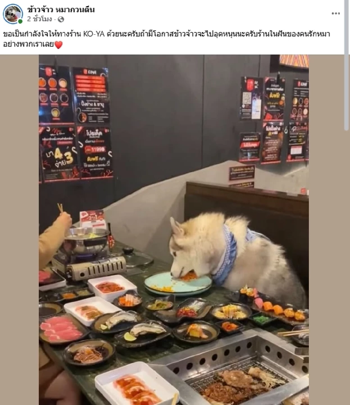 ดราม่า "หมา" กินอาหารบนโต๊ะ ในร้านอาหาร (คลิป) "ตั๊ก ศิริพร" โพสต์สวนทันที