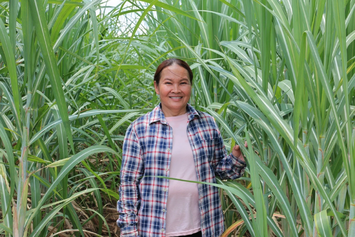 แม่ภาพ-สุภาพ จันทร์ที