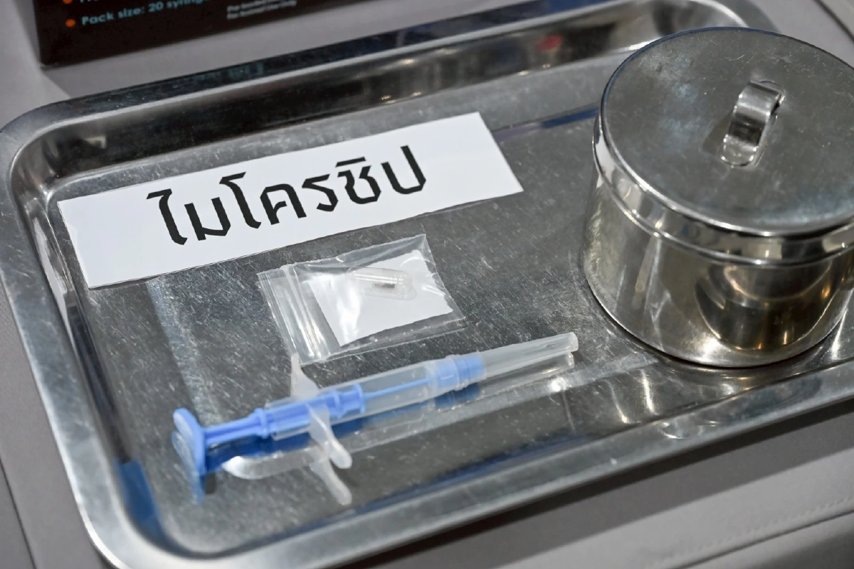 ไม่ต้องกังวล! กทม. เตรียมเสนอสภา กทม. ชะลอข้อบัญญัติหมาแมว