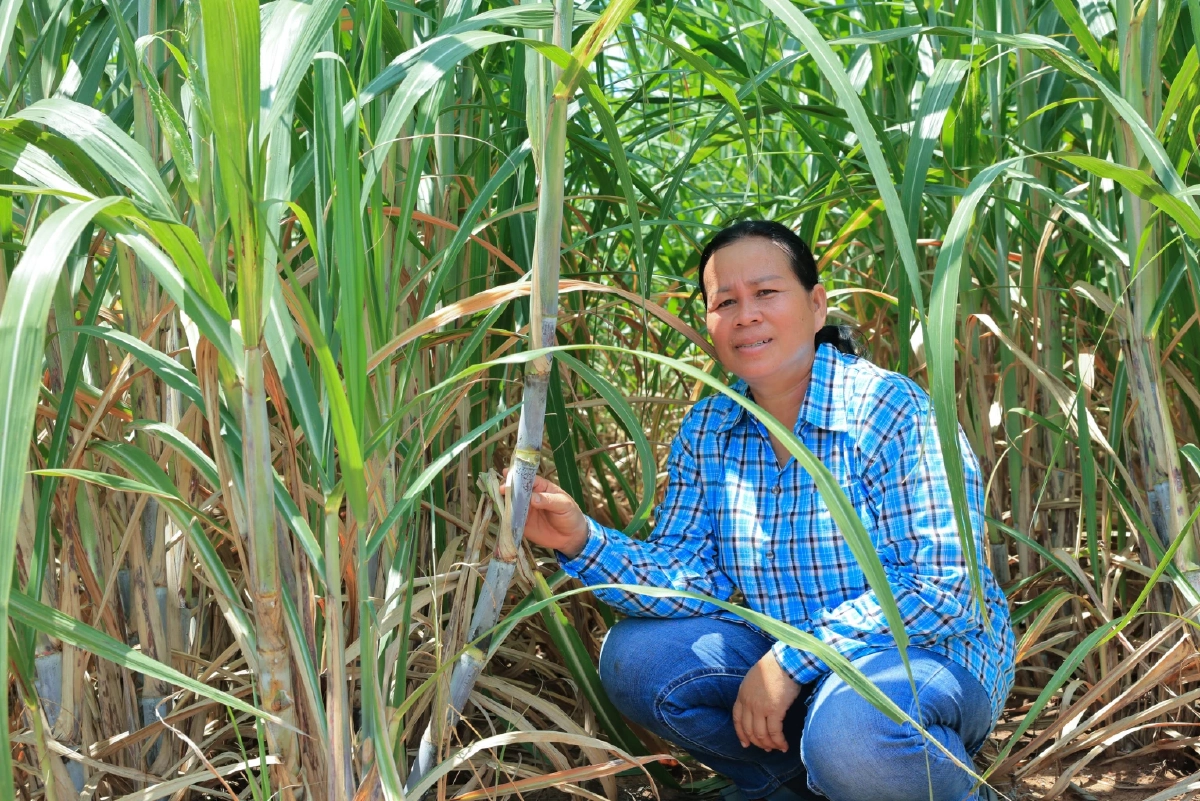 แม่เอี้ยง-บุษกร ขันแข็ง