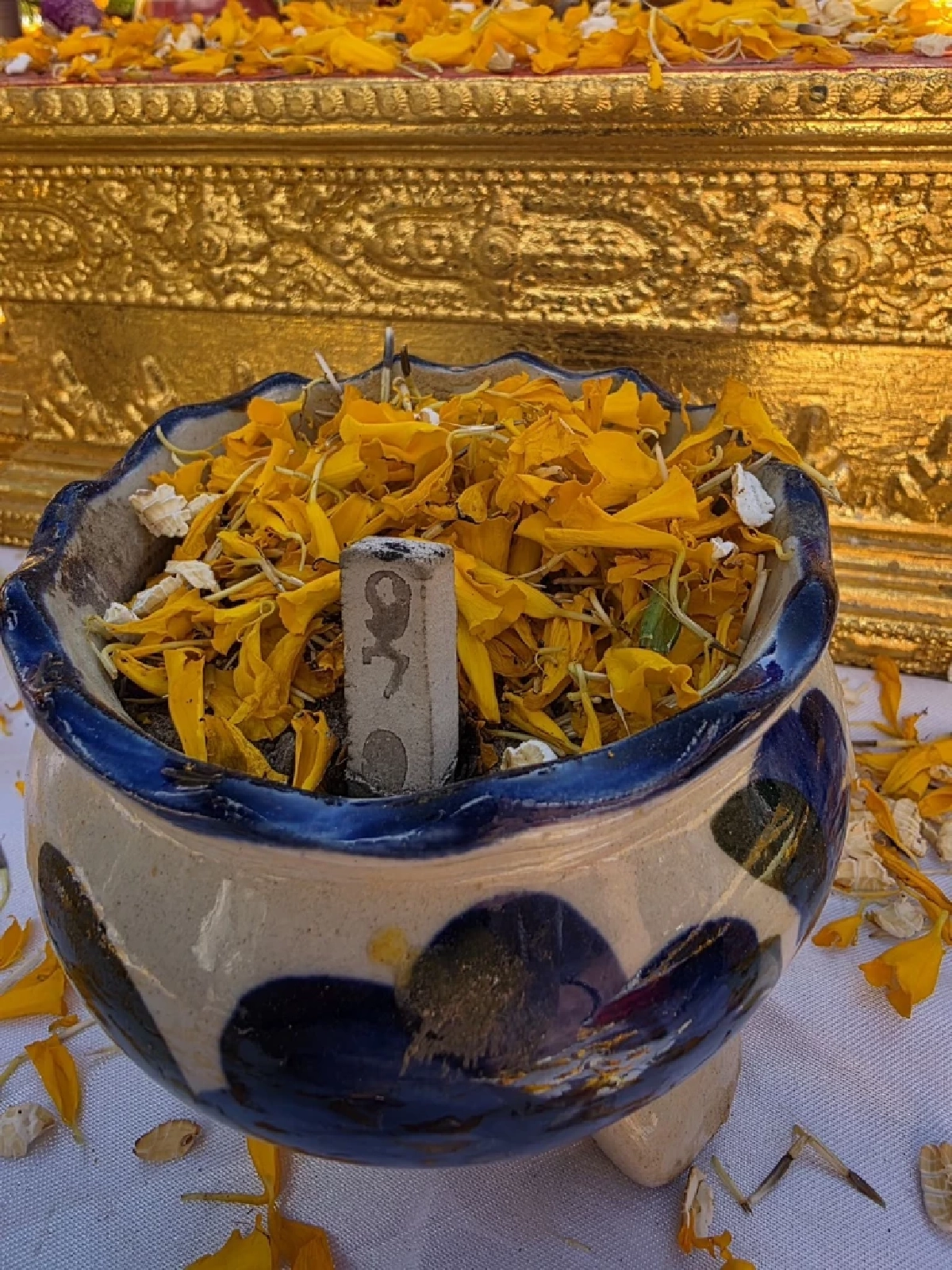 วงการหนังไทยคึกคัก "ตั๊กแตน ชลดา - โบ้ ลิขิต" ถือฤกษ์ดีเปิดตัว "กะเทยไทบ้าน"