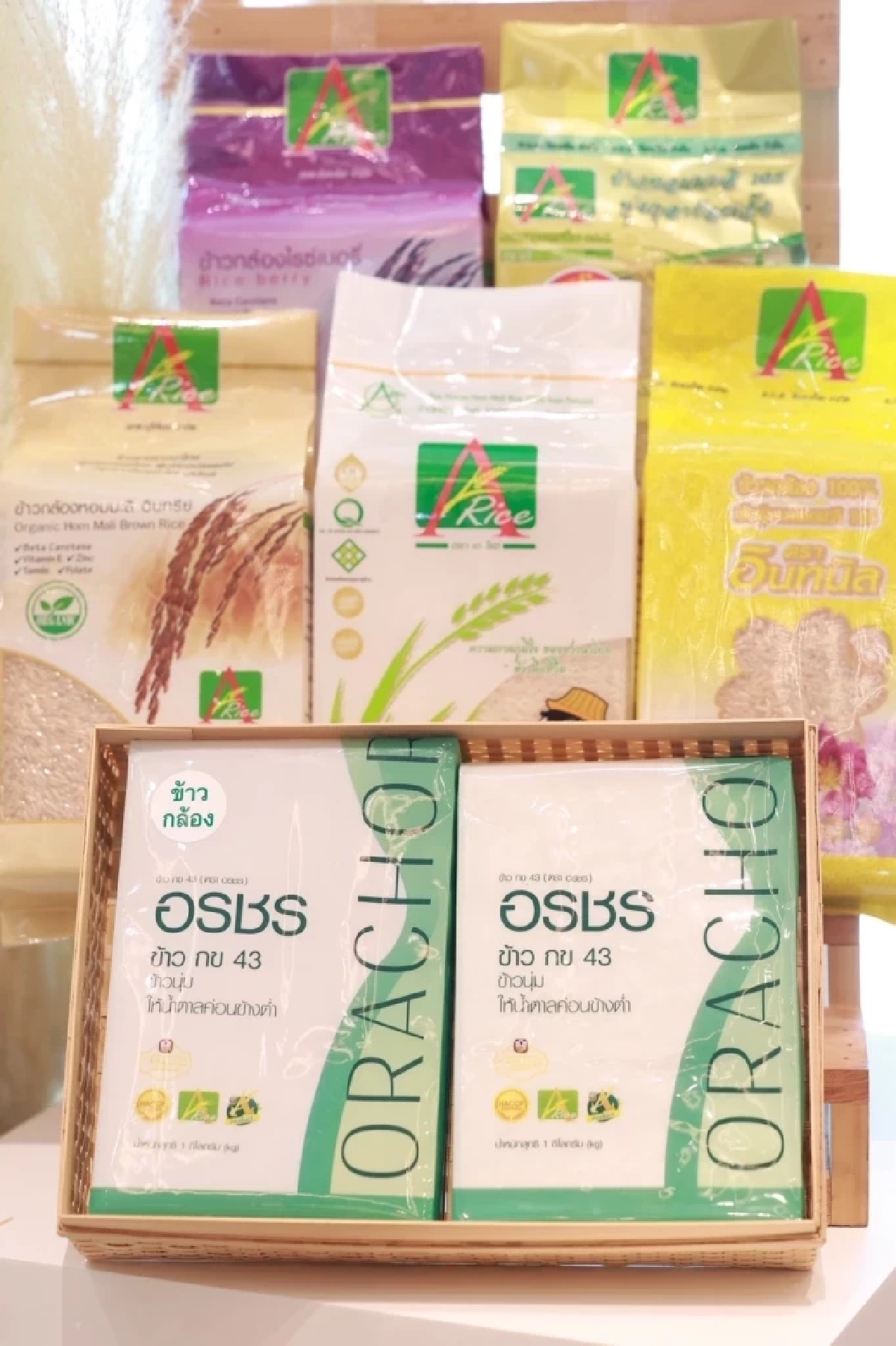 ธ.ก.ส. ผนึก GIZ เปิดโครงการ Thai Rice GCF อัดฉีด 5,300 ล้าน หนุนเกษตรกรปลูกข้าววิถีใหม่