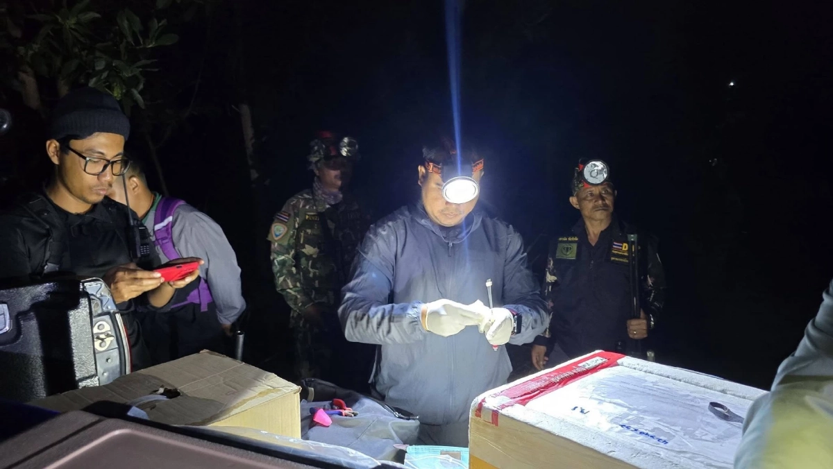 ครั้งแรกในไทย กรมอุทยานฯ เริ่มฉีดยาคุมช้างป่า ใน อ.บ่อไร่ จ.ตราด