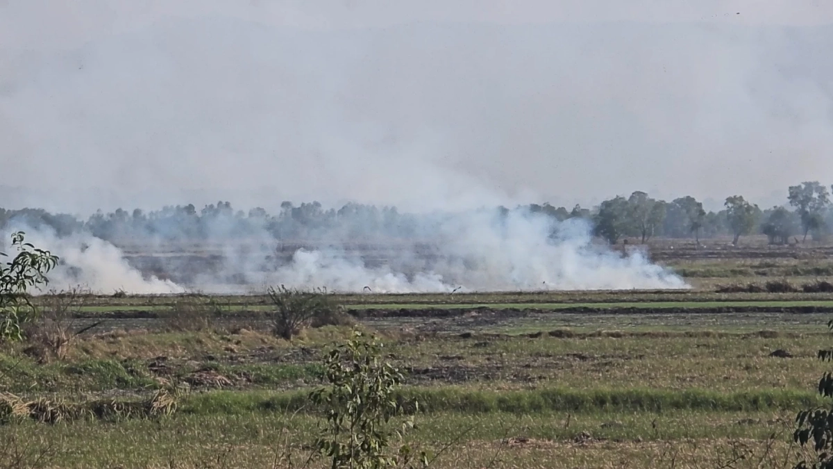 ไฟลามทุ่ง นครนายก เริ่มคลี่คลาย ผู้ว่าฯ สั่งล่าตัว-เอาผิดมือเผา