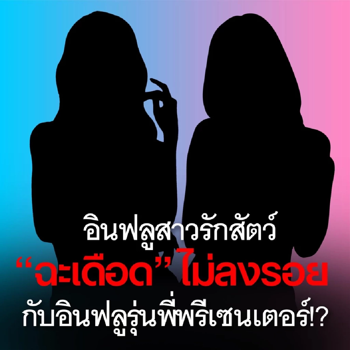 เฉลยแล้ว? ปมร้อน 'อินฟูลสาวรักสัตว์ ปะทะ อินฟูลรุ่นพี่มีมง'