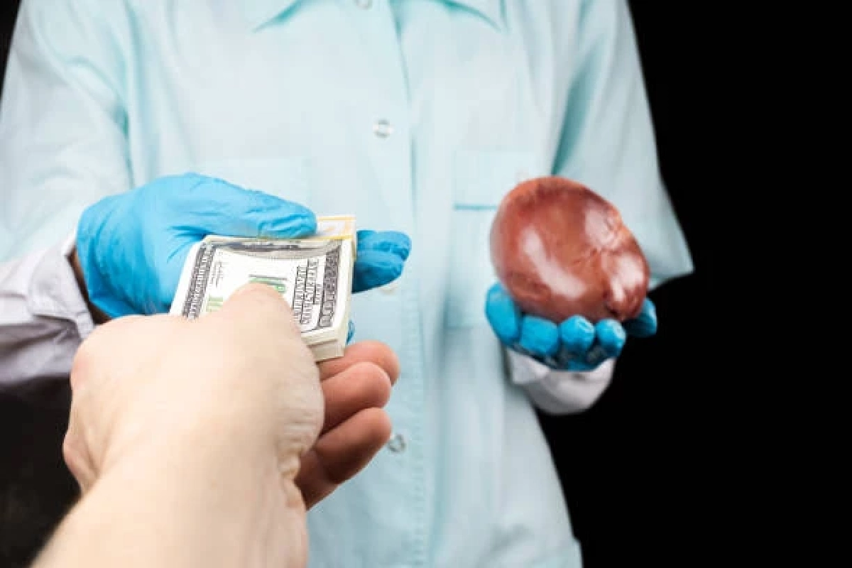 เปิดโปงธุรกิจมืด! "นายหน้าค้าศพ" ในสหรัฐฯ ชำแหละชิ้นส่วนมนุษย์ขาย