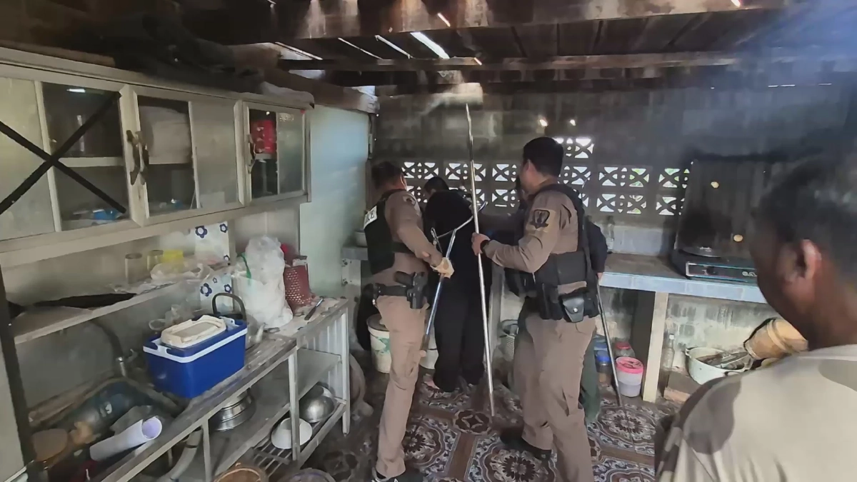 หลานแทงยายดับก่อนสารภาพ "ผมแทงจริง แต่ผมไหว้ขอโทษยายแล้ว"