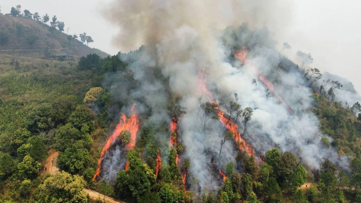 เช็กโทษ! ลอบเผาในที่โล่งและเขตควบคุม ปรับหลักแสน ติดคุกหลักปี