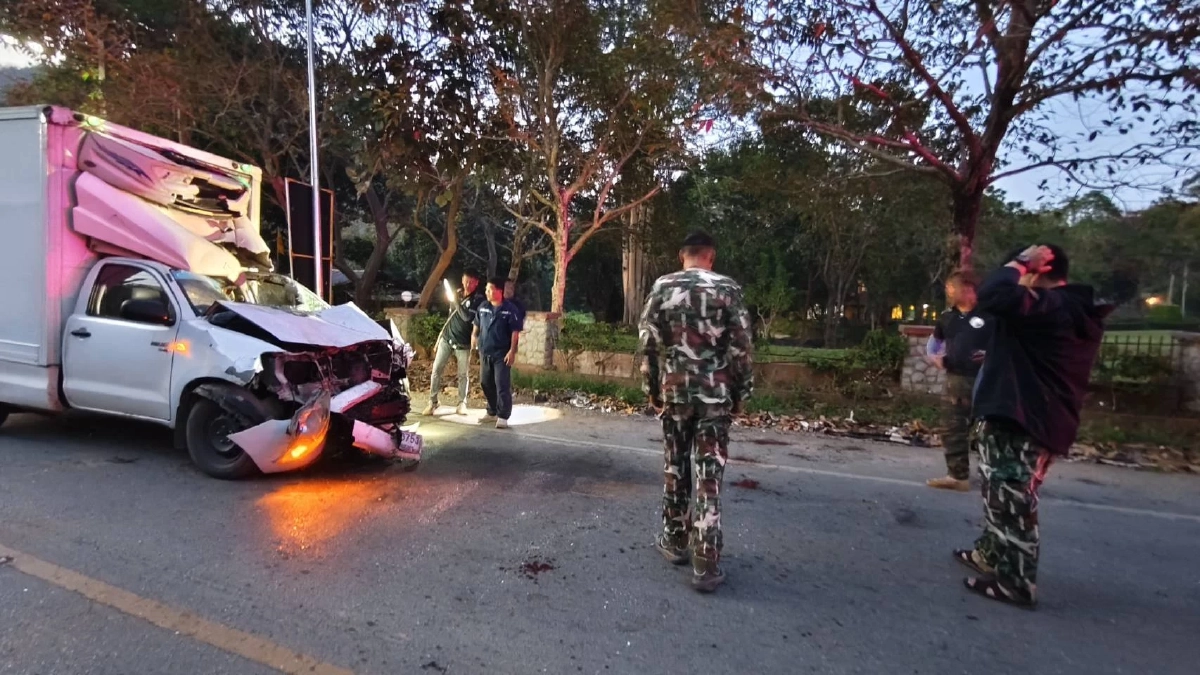 กระบะห้องเย็น ชนช้างเขาใหญ่ คนขับบาดเจ็บสาหัส ช้างหลบหนีเข้าป่า
