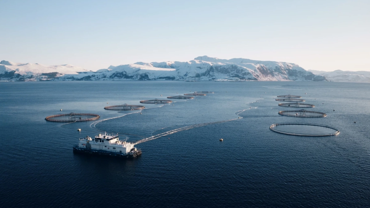 ซีพี แอ็กซ์ตร้า จับมือ Mowi ยกระดับซัพพลายเชนแซลมอนพรีเมียม