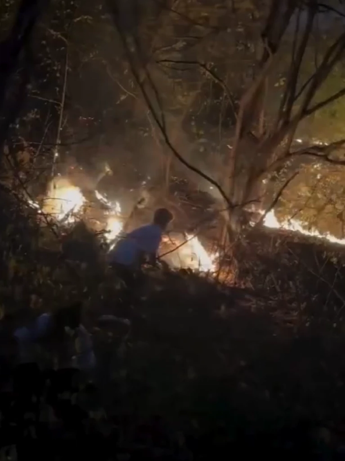 ภาพ 'ปอร์เช่ ศิวกร'เสี่ยง วิ่งสกัดไฟป่า ก่อนลุกลามสถานปฏิบัติธรรม