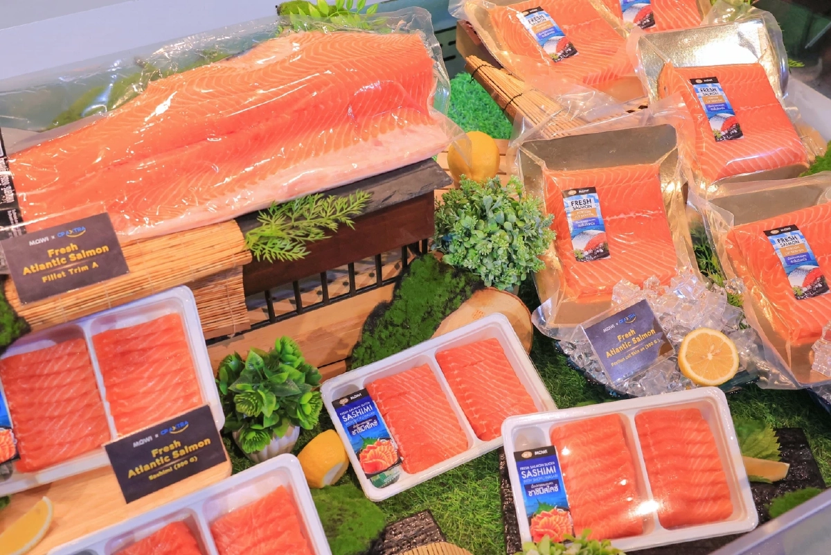 ซีพี แอ็กซ์ตร้า จับมือ Mowi ยกระดับซัพพลายเชนแซลมอนพรีเมียม