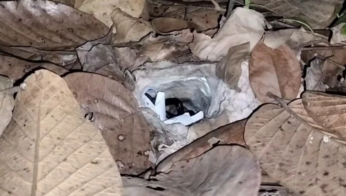 เลขเด็ด 'พญาบึ้ง' จุดธูปเบิกทาง เลขมงคลเรียงเต็มตา 2 ชุดเด็ด ลุ้นหวย 2/1/69