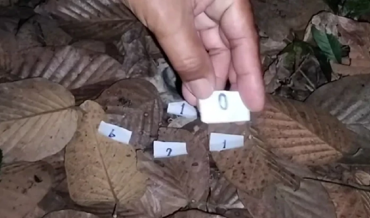 เลขเด็ด 'พญาบึ้ง' จุดธูปเบิกทาง เลขมงคลเรียงเต็มตา 2 ชุดเด็ด ลุ้นหวย 2/1/69