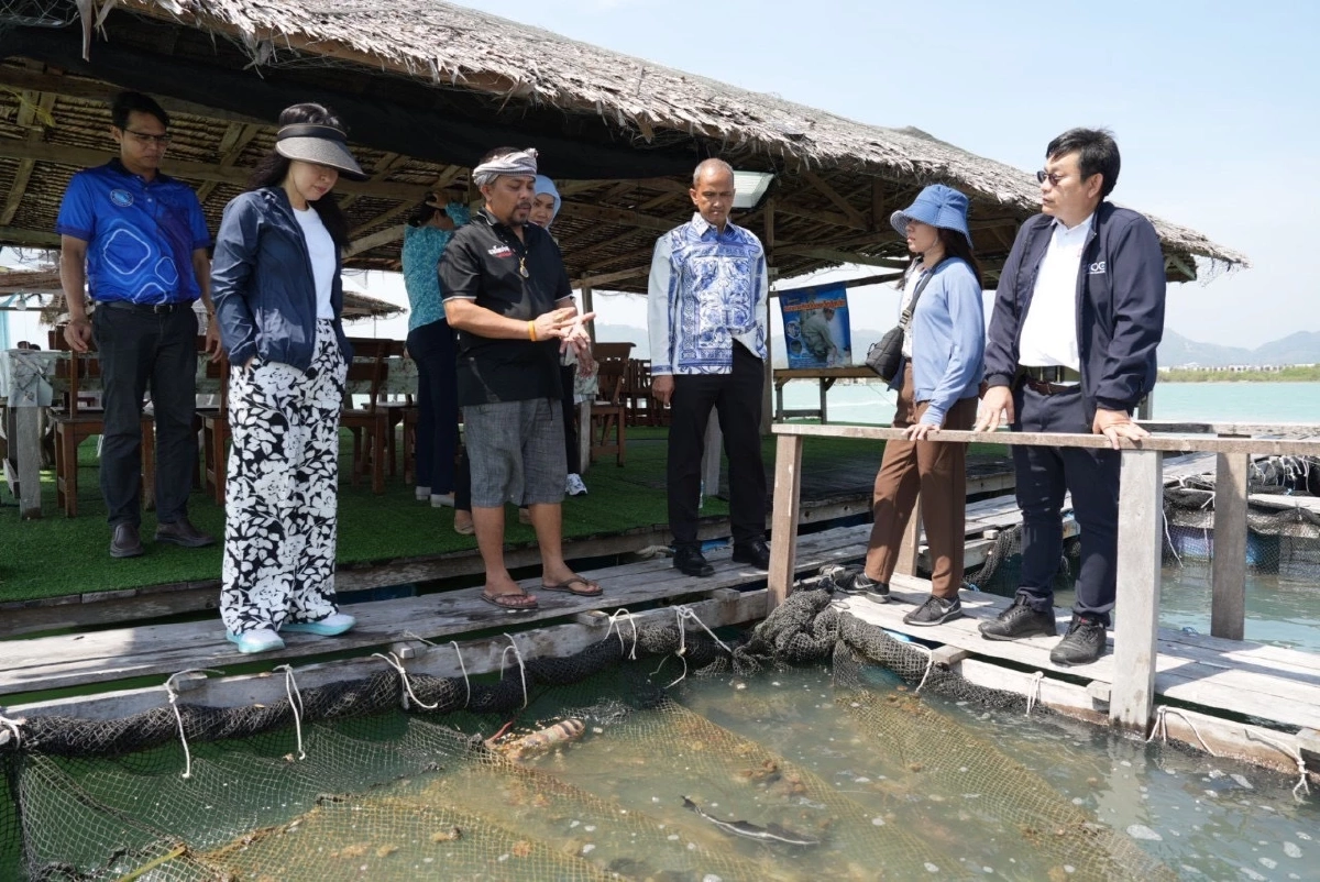 กรมทรัพย์สินทางปัญญาประกาศ "กุ้งมังกร 7 สีภูเก็ต" เป็นสินค้า GI ลำดับที่ 4 ชูฉายาฟัวกราส์แห่งท้องทะเล