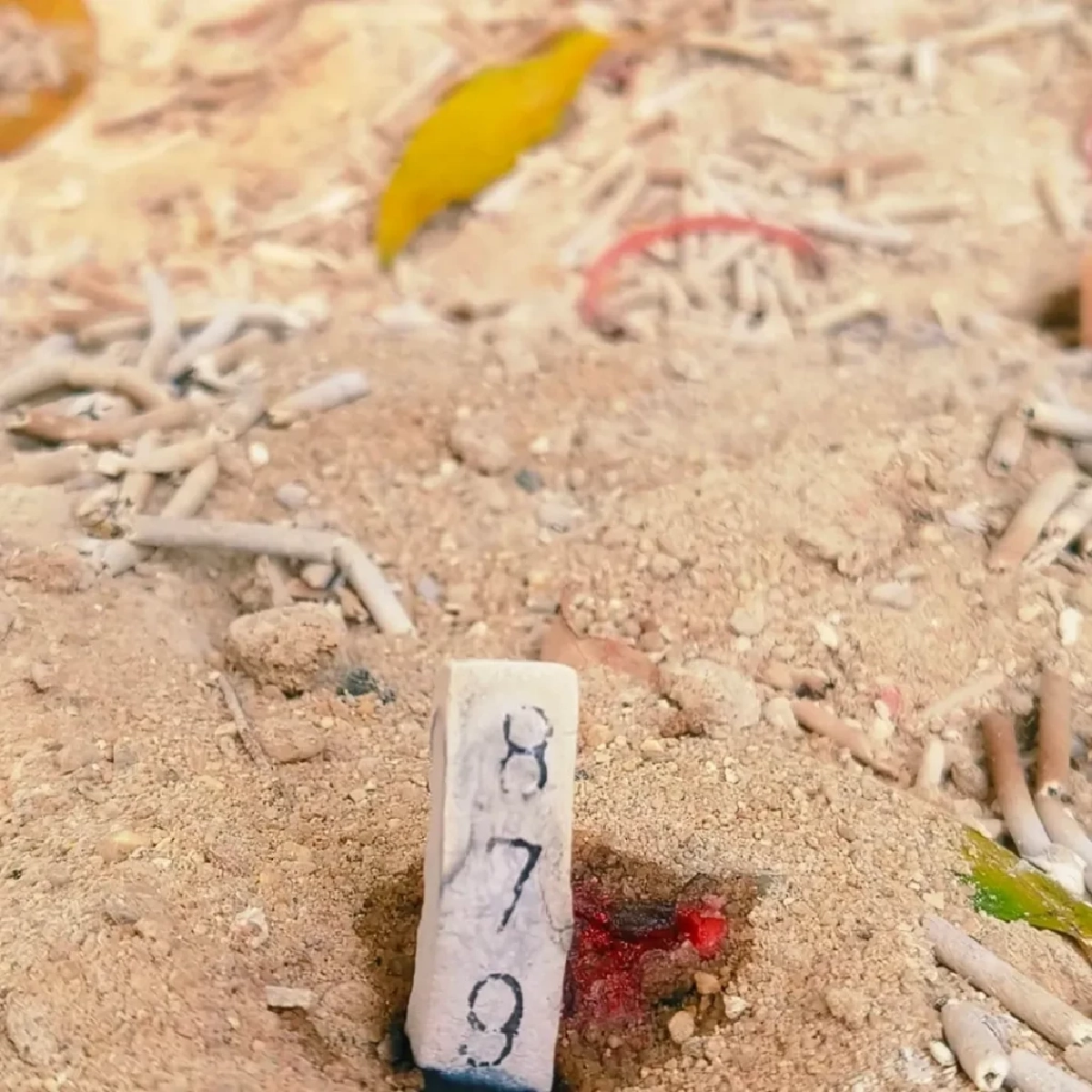 เลขธูป 'พระพิฆเนศโบราณ'วัดดังอยุธยา เรียงชัด 3 ตัวเด็ด ลุ้นโชค ลุ้นรางวัล