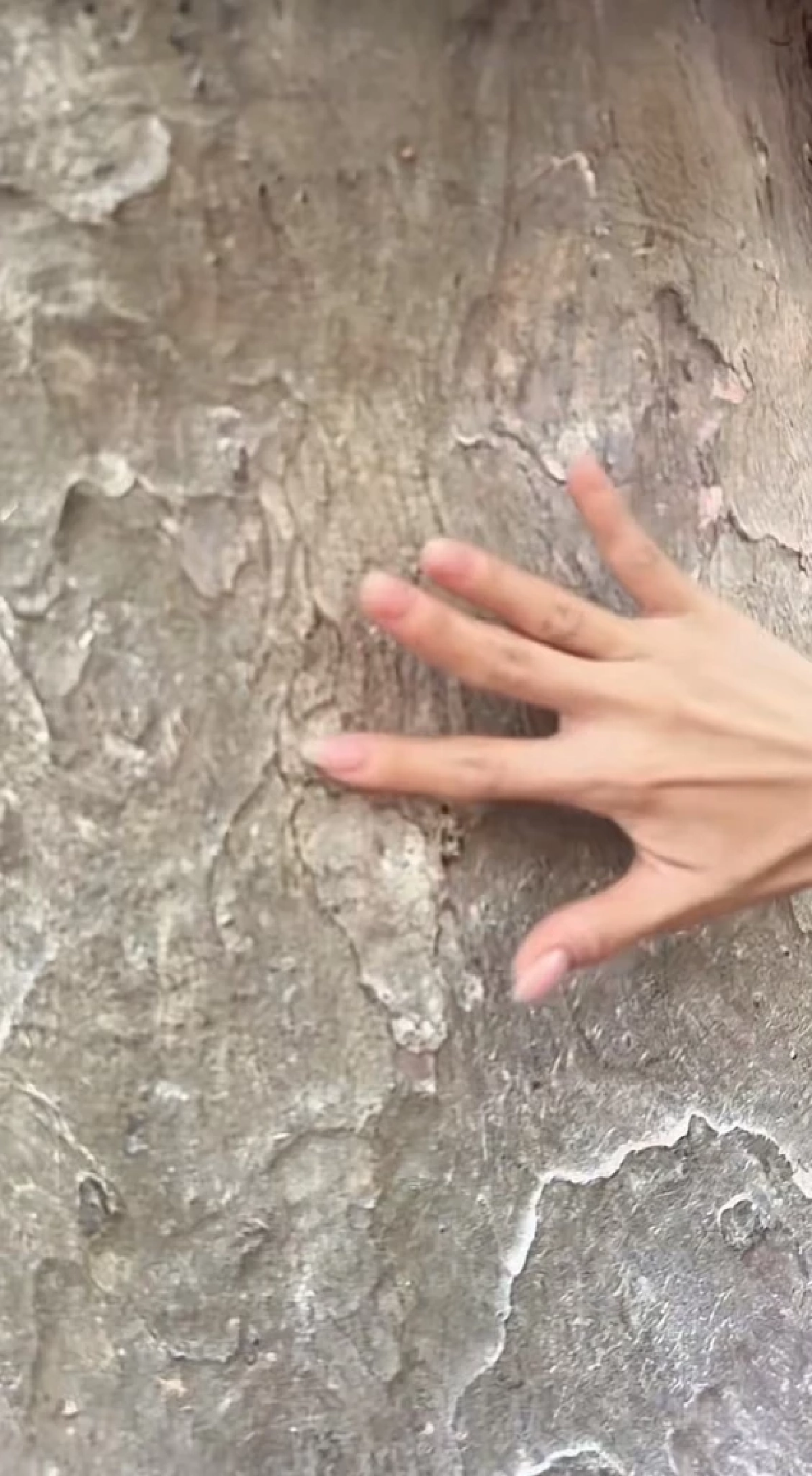 "เลขขันน้ำมนต์" มายด์ - สงกรานต์ บวงสรวงที่คำชะโนด เลขเด็ด 1/2/69 หวยงวดนี้ ออกอะไร