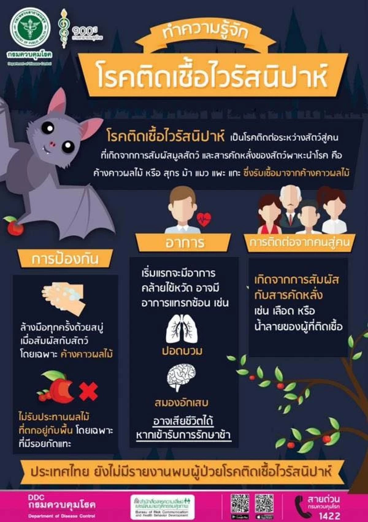 กรมควบคุมโรค เฝ้าระวัง "ไวรัสนิปาห์" ใกล้ชิด หลังอินเดียพบผู้ติดเชื้อ สั่งกักตัวนับร้อย
