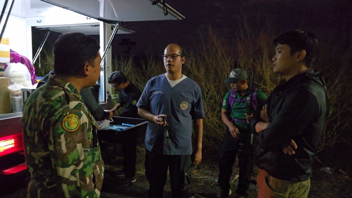 ครั้งแรกในไทย กรมอุทยานฯ เริ่มฉีดยาคุมช้างป่า ใน อ.บ่อไร่ จ.ตราด