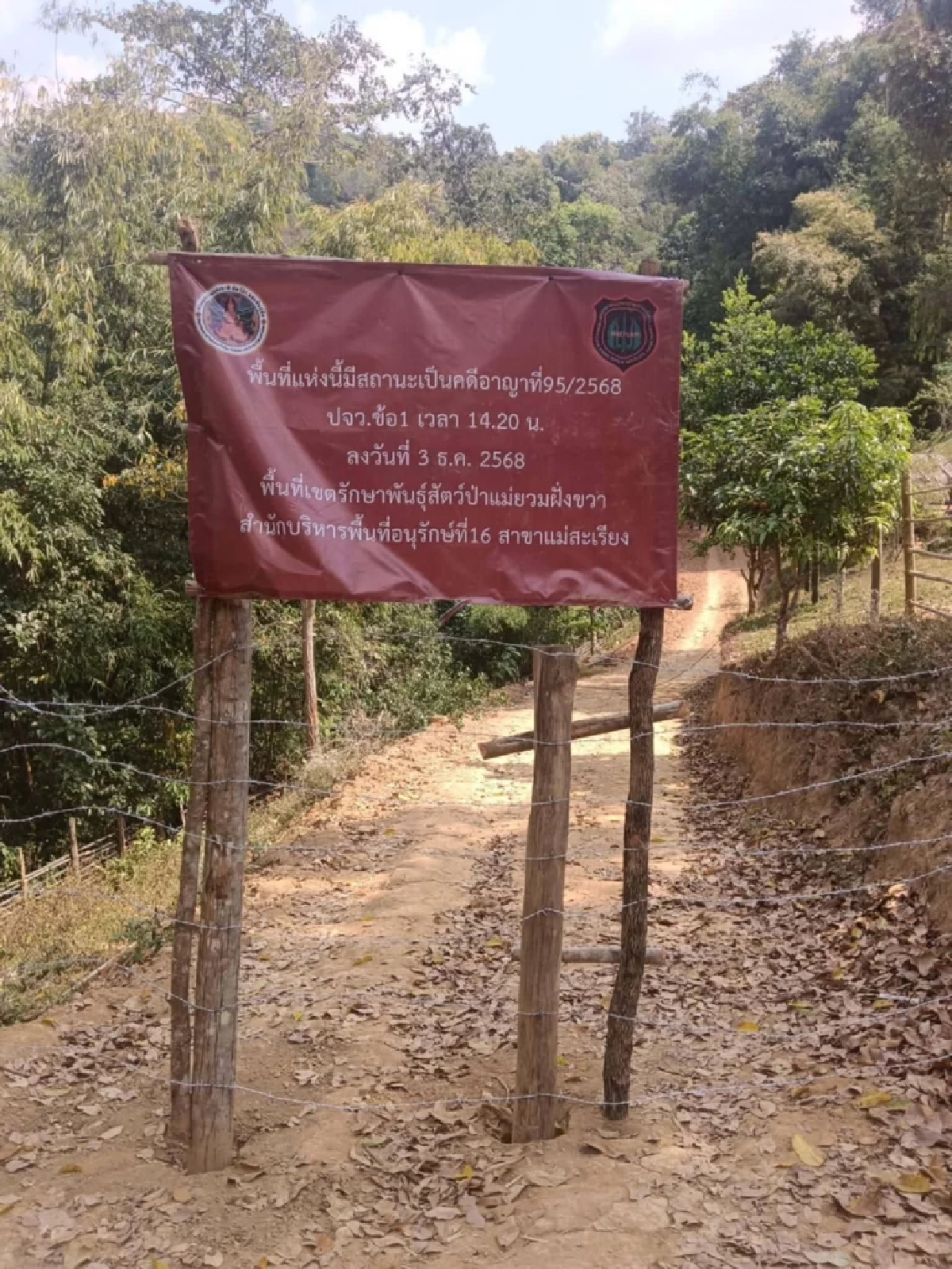 สั่งปิดถนนปริศนากลางป่า แฉขบวนการหลอกชาวบ้านสร้างถนน อ้างมีงบหลวง