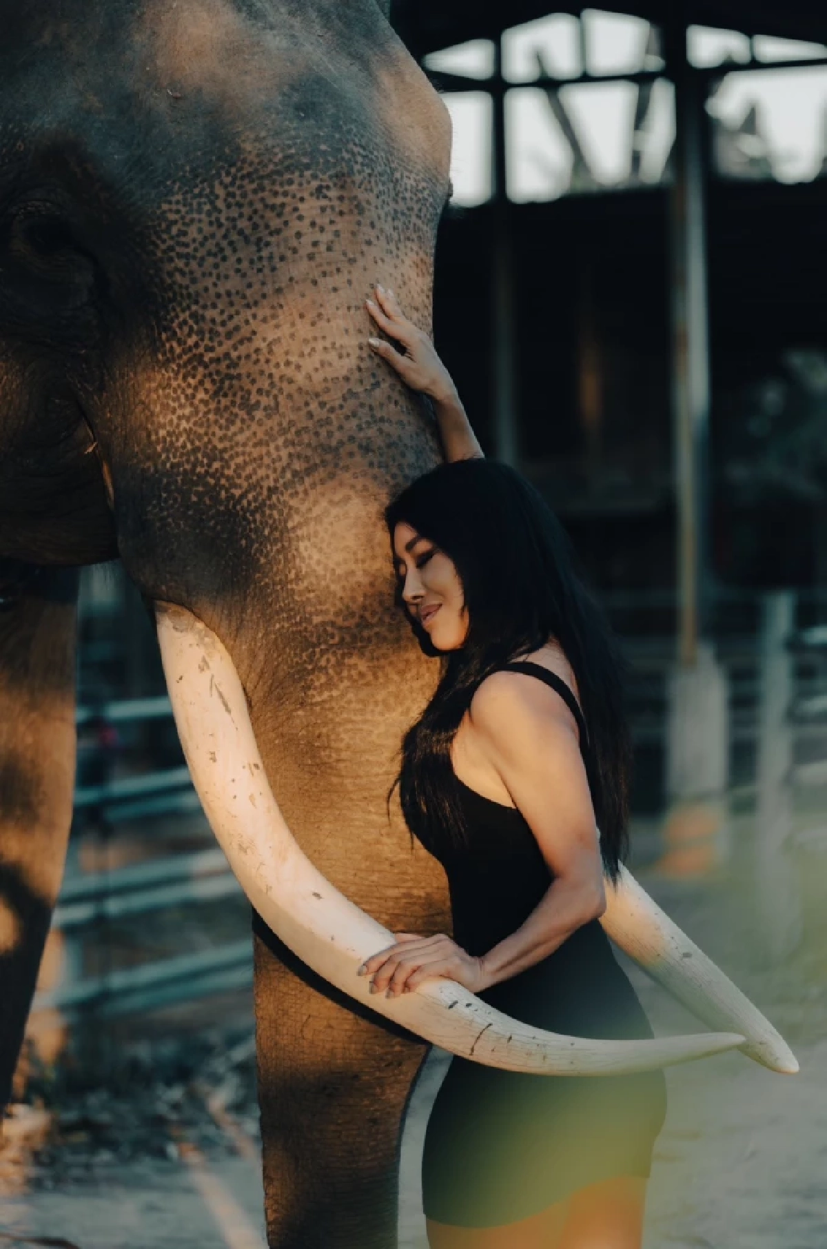 อยากให้มีความยุติธรรม "ปลา บลา บลา" รับไม่ได้ "ช้างสีดอหูพับ" เสียชีวิต