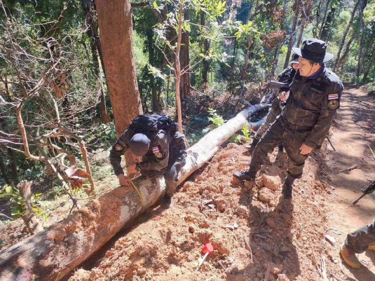 แถลงยิบ! ปมบุกรุกป่า แม่ยวมฝั่งขวา สั่งย้ายหัวหน้าเขตฯ - ตั้ง กก.สอบ