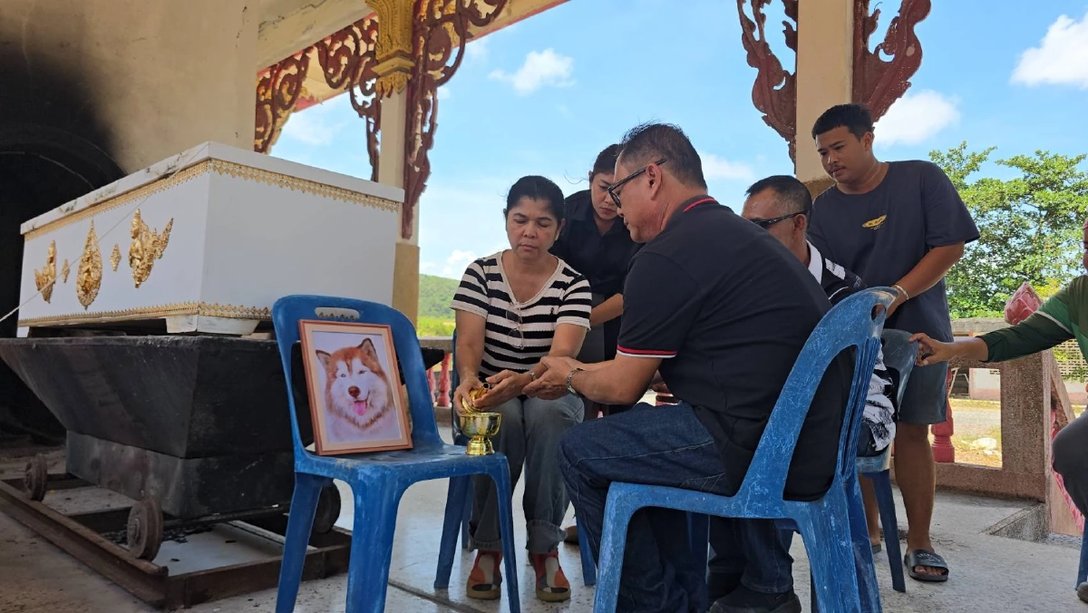 จับได้แล้ว! คนทำร้าย “น้องมอลลี่” ตำรวจเตรียมแจงรายละเอียด