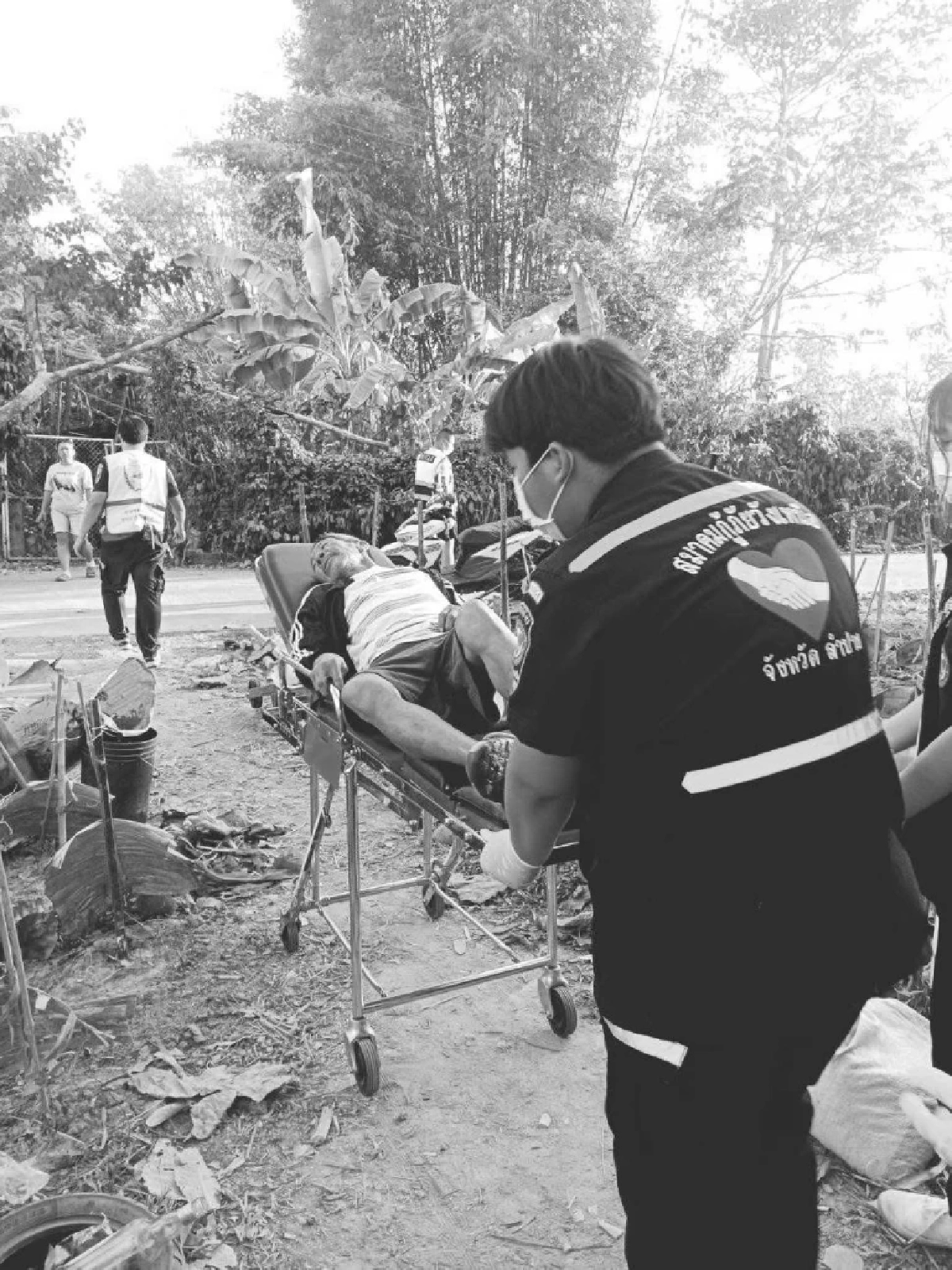 ลำปางผวา "ตัวคุ่น" มรณะกัดดับจริงหรือ? หมอเบรก! เผยสาเหตุเสียชีวิต