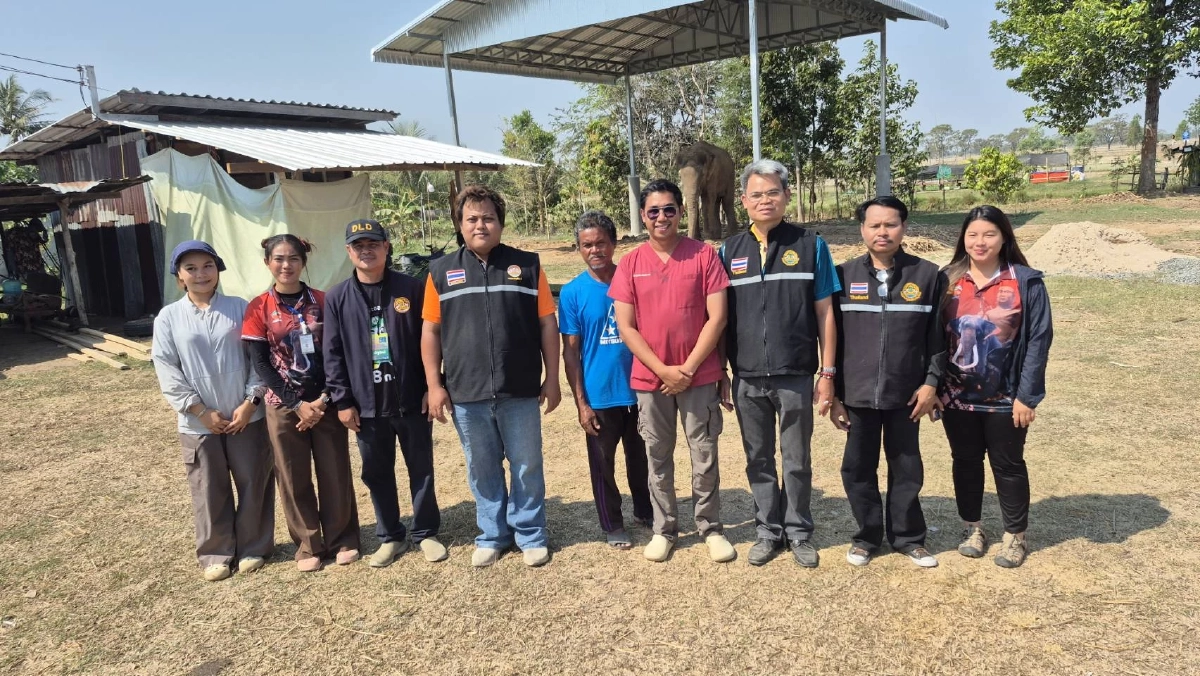 สาเหตุแท้จริง "พลายเพชรอุทัย" ทำร้ายควาญช้าง บาดเจ็บสาหัส