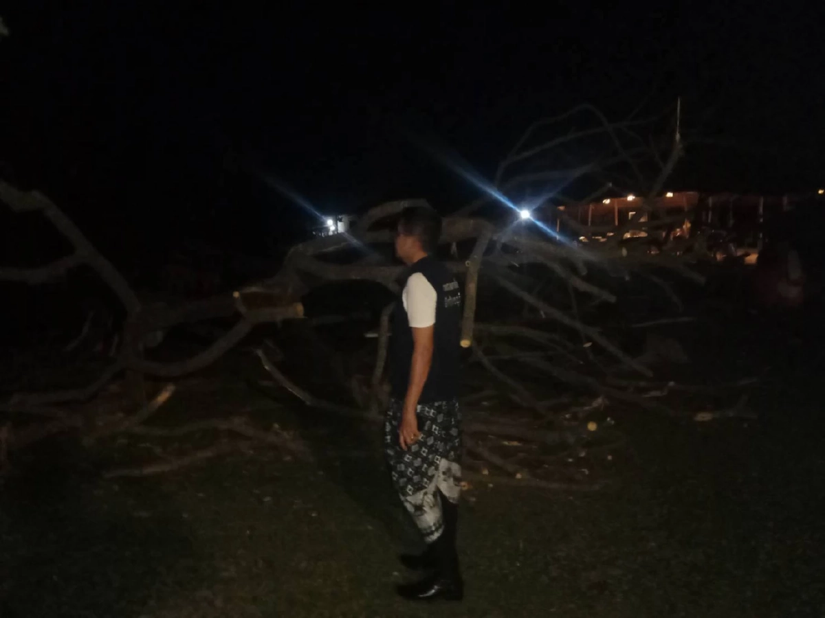 ระทึก! กิ่งไม้หักทับ คณะดูงานวิทยาลัยชุมชนระนอง ดับ 1 บาดเจ็บ 2