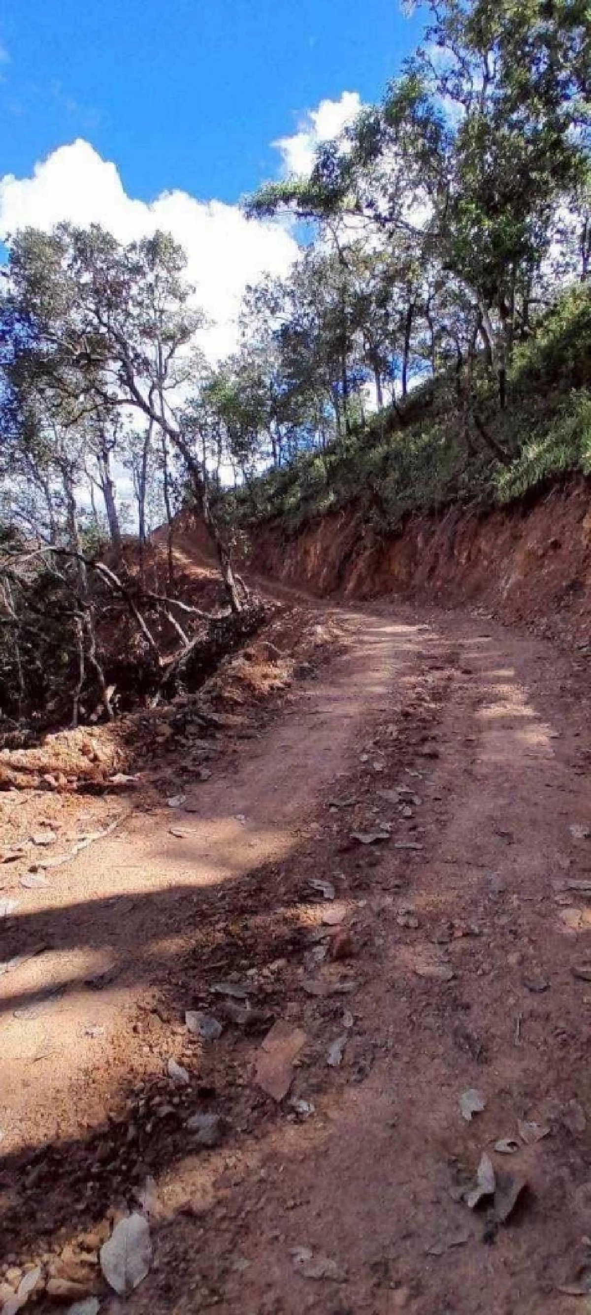 แถลงยิบ! ปมบุกรุกป่า แม่ยวมฝั่งขวา สั่งย้ายหัวหน้าเขตฯ - ตั้ง กก.สอบ