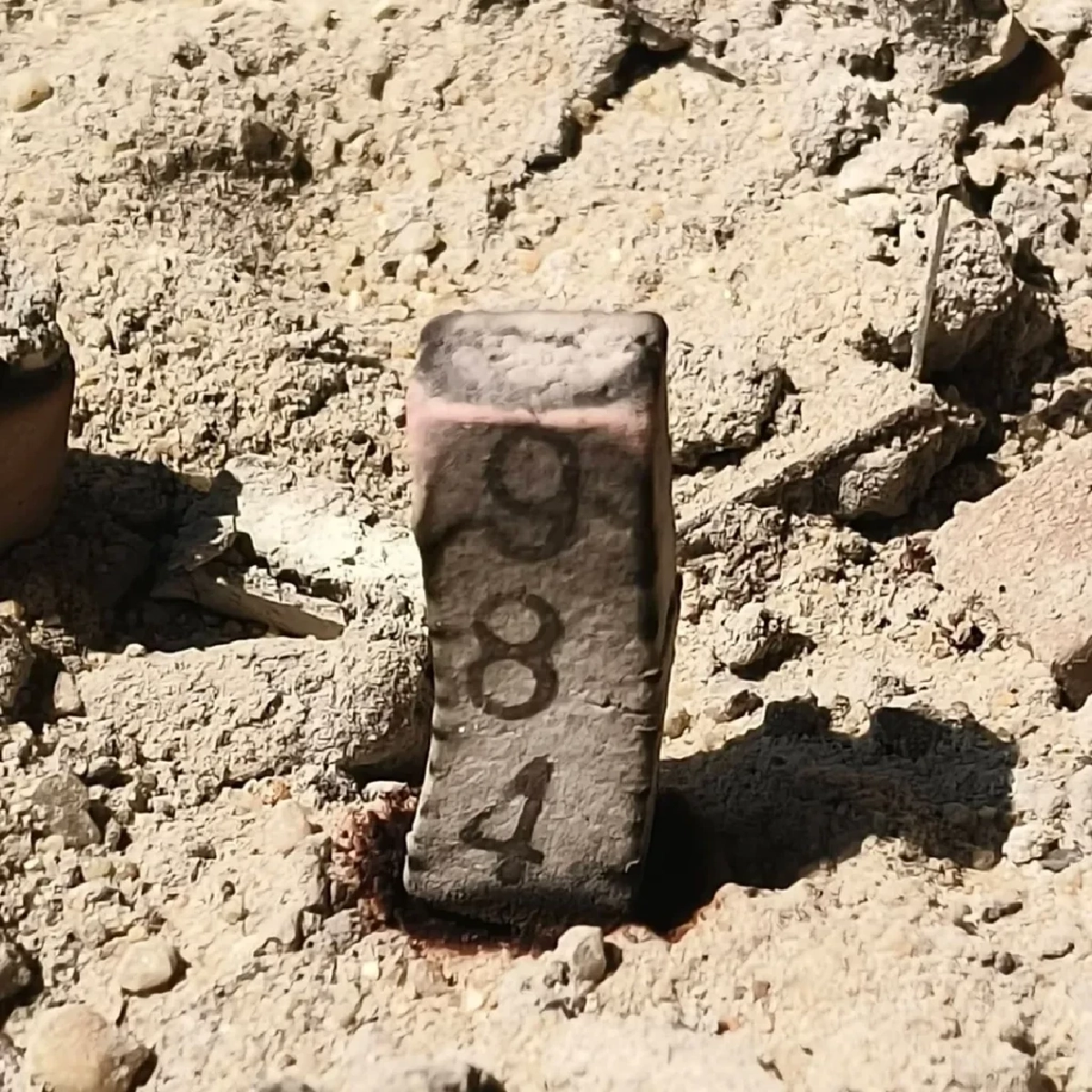 เลขธูปมงคลไหว้ 'องค์ปู่-องค์ย่า' วัดป่าคลอง 11 พายศรีพญานาค 9 เศียร