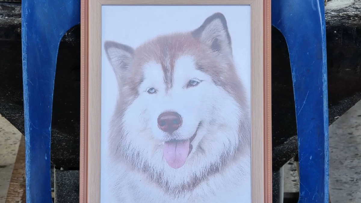 จับได้แล้ว! คนทำร้าย “น้องมอลลี่” ตำรวจเตรียมแจงรายละเอียด