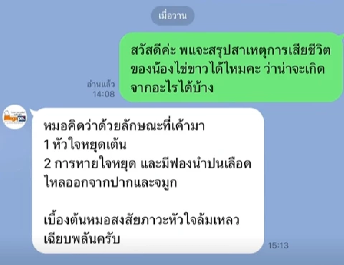 ชัดแล้ว! สาเหตุเสียชีวิต "ไข่ขาว" แมวเซเลบชื่อดัง เกิดจากอะไร