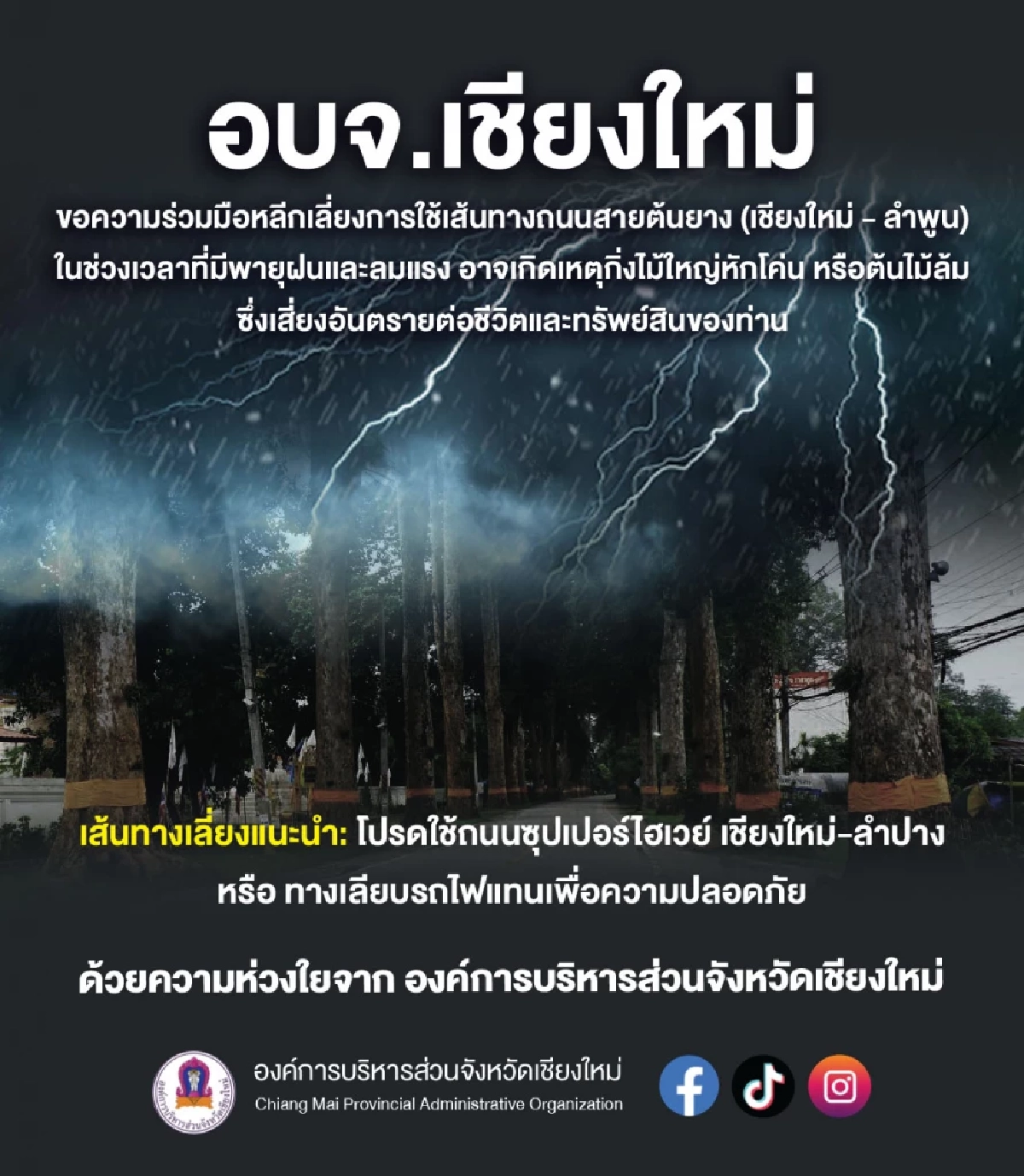 อบจ.เชียงใหม่ แนะเลี่ยงเส้นทาง ถนนสายต้นยาง ช่วงมีพายุฝน-ลมแรง