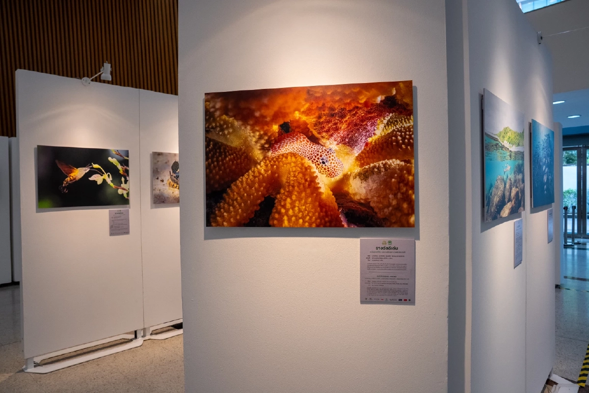 กระทรวงทรัพย์ฯ จับมือ เครือซีพี ชวนชม “สัตว์มีค่า ป่ามีคุณ”