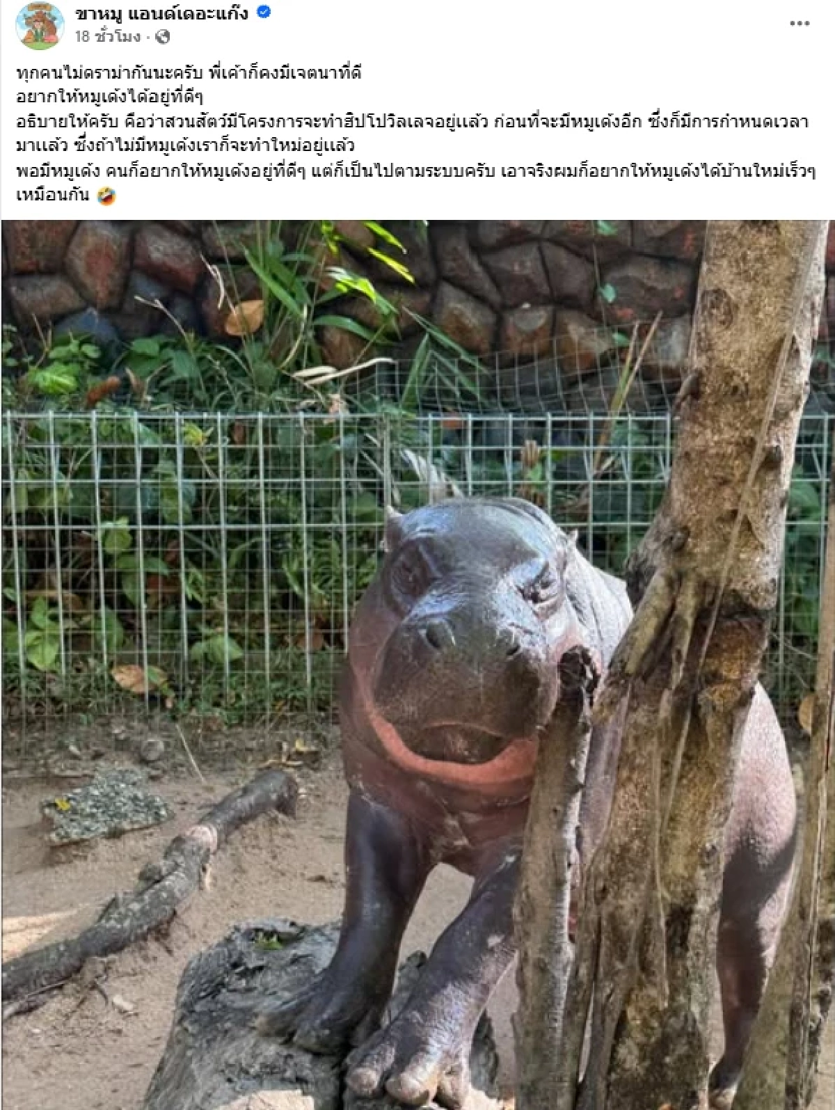 สรุปดราม่า "ทราย สก็อต" รับไม่ได้สภาพ "กรงหมูเด้ง" เพจขาหมู แอนด์เดอะแก๊ง รีบโพสต์ชี้แจง