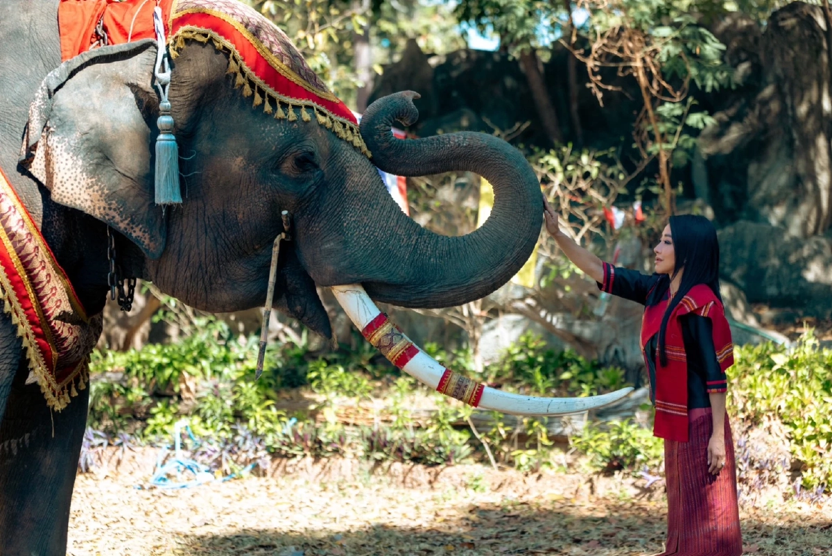 อยากให้มีความยุติธรรม "ปลา บลา บลา" รับไม่ได้ "ช้างสีดอหูพับ" เสียชีวิต