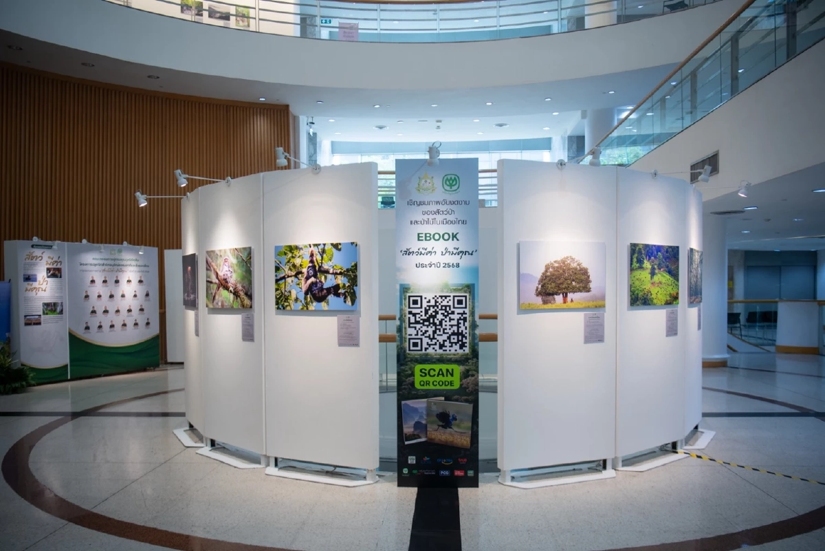 กระทรวงทรัพย์ฯ จับมือ เครือซีพี ชวนชม “สัตว์มีค่า ป่ามีคุณ”