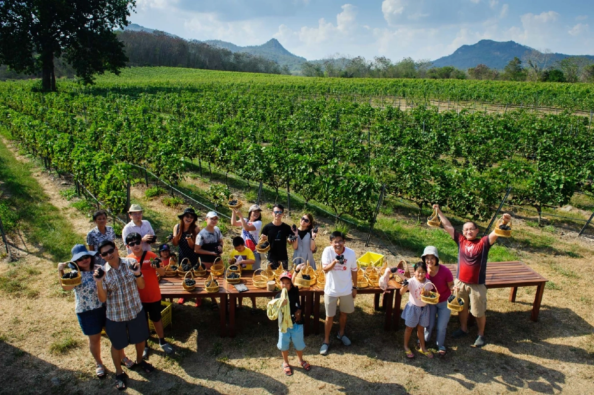 Monsoon Valley Harvest Festival 2026 ประสบการณ์สุดเอ็กซ์คลูซีฟ